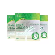 Brain Ginkgo 500